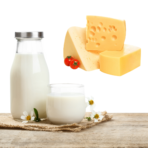 Süt Ürünleri